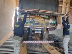 PRF faz mega apreensão de maconha em área de interesse da União