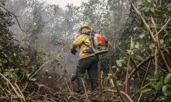 Ibama multa fazendeiros em R$ 100 milhões por incêndio no Pantanal em MS