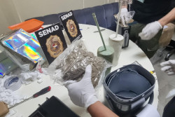 Senad apreende maconha VIP na capital do Paraguai