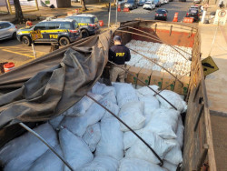 PRF apreende quatro toneladas de agrotóxicos na fronteira