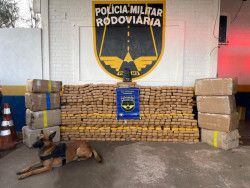 Polícia prende idoso paraguaio com 840 quilos de maconha na MS-164