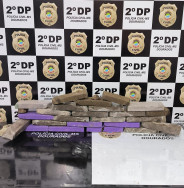 Polícia Civil apreende maconha em terreno baldio em Dourados