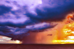 Previsão de chuvas traz esperança e cautela aos produtores de MS