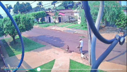 Homem é atacado na rua por pitbulls e tem orelha dilacerada em Dourados