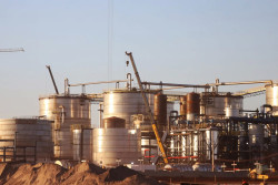 Rodada de Empregabilidade do Setor de Bioenergia é realizada pela Funtrab