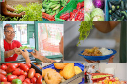 Governo Federal anuncia planos de produção agroecológica e abastecimento