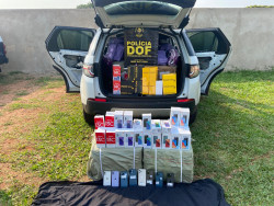 Mais de R$ 300 mil em celulares são apreendidos pelo DOF em Vista Alegre