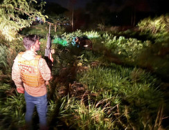 Carro com faróis apagados levava 700 quilos de maconha na MS-162