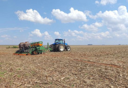 Safra de soja 2024/2025: Região Sul de MS já semeou mais 39% da área total