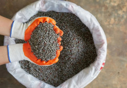 Brasil deve superar recorde de importação de fertilizantes em 2024