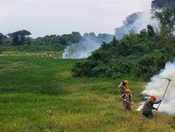 Chuvas no Pantanal de MS ajudam no controle de focos; Bombeiros mantém ações