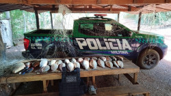 PMA prende 4 pescadores com 56,3 quilos de pescado irregular