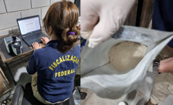 Mapa fecha outubro com quatro forças-tarefas para fiscalização de agrotóxicos