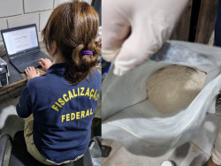 Mapa fecha outubro com quatro forças-tarefas para fiscalização de agrotóxicos