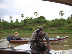 Começa período de pesca proibida em MS e estoques de pescados devem ser informados