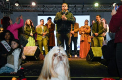 Governo lança certificação para protetores de animais e ONGs