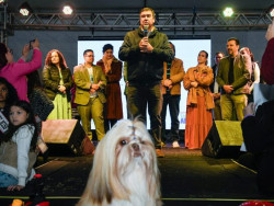 Governo lança certificação para protetores de animais e ONGs