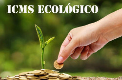 Governo estabelece índices provisórios do ICMS Ecológico