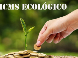 Governo estabelece índices provisórios do ICMS Ecológico