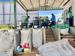 Ceasa de MS destina quase mil toneladas de resíduos para reaproveitamento ao ano