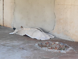 Corpo de Eliane foi encontrado por populares (Imagem: Adilson Domingos)