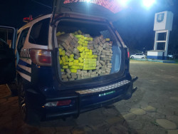 Força Tática apreende mais de meia tonelada de maconha na fronteira