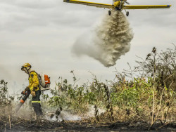 Redução da área alagada tem favorecido aumento de incêndios