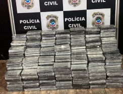 Motorista que saiu de Dourados com 550 quilos de cocaína é preso em pelo SIG
