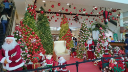 Com mais trabalhadores, pagamento do 13º deve crescer 12,5% e chegar a R$ 4,2 bi em MS