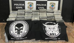 Polícia encontra 550 quilos de cocaína em carga de frango congelado