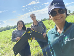 Florestas plantadas em MS contribuem para a meta de carbono neutro