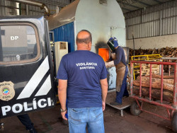 Polícia Civil incinera 58 quilos de drogas em cidade de MS