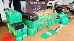 Mais de meia toneladas de maconha é apreendida pela Polícia Militar