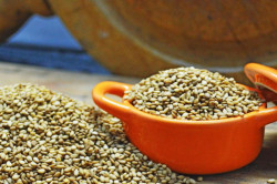 Brasil e China firmam acordo para exportação