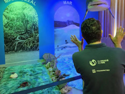 Apenas 5% dos recursos dos oceanos são conhecidos, diz pesquisadora