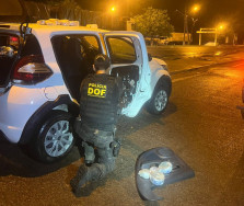 Homem é preso levando skunk de MS para cidade do interior paulista