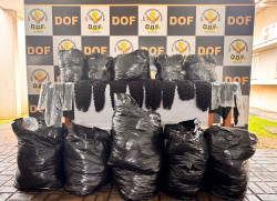 Homem é flagrado pelo DOF com 107 quilos de cabelo humano