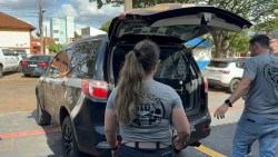 Operação desarticula quadrilha especializada em furtos de veículos em MS