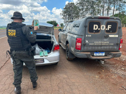 Paraguaio é preso pelo DOF com pasta-base de cocaína que seria entregue em Dourados