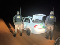 DOF apreende carga de agrotóxico avaliada em R$ 700 mil na MS-460