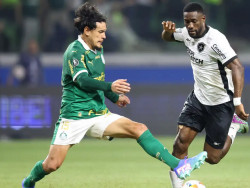 Palmeiras e Botafogo jogam por liderança do Campeonato Brasileiro