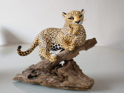 Expoartesanías exibe obras de artesãs de Mato Grosso do Sul