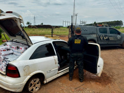 DOF apreende 200 quilos de drogas em meio à carga de cigarro e agrotóxico