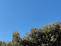 Sem chuva e temperatura baixa, MS tem umidade do ar semelhante a deserto
