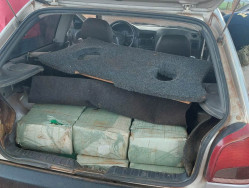 Fugindo da polícia, motorista do tráfico é atacado por enxame de abelhas e morre