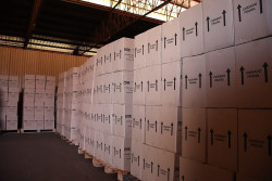 Dourados recebe kits e prepara volta de aulas presenciais na rede municipal