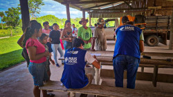 MS usa mapeamento para combater a vulnerabilidade social