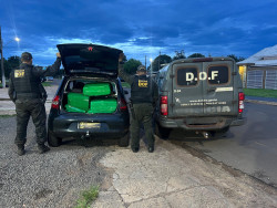 Polícias de MS e do PR prendem homem em Amambai com 300 quilos de drogas