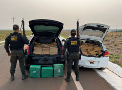 Balanço revela aumento de 30% nas apreensões de drogas em MS