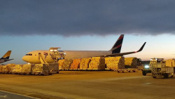 Câmara avança em projeto para modernizar fiscalização agropecuária no Brasil